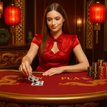 5gringos - Live Baccarat - Evolution Gaming Live Dealer